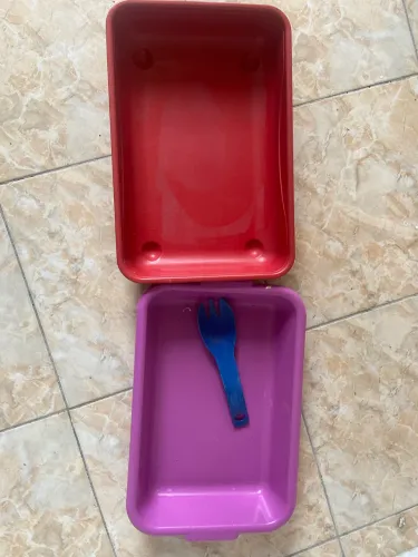 PET - Kit bandeja higiênica + pá (gatos)