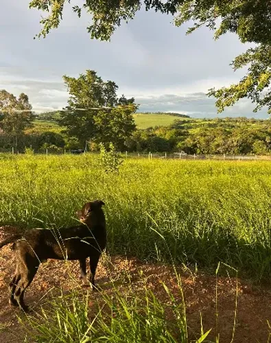Chácara 2.500 m² - Água e Energia - Região Franca/Patrocínio Paulista