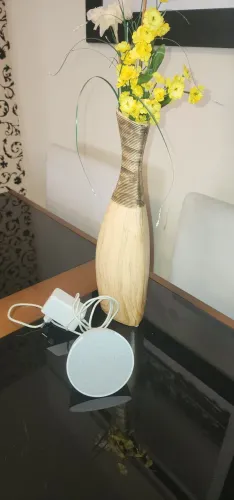 Alexa Echo Pop