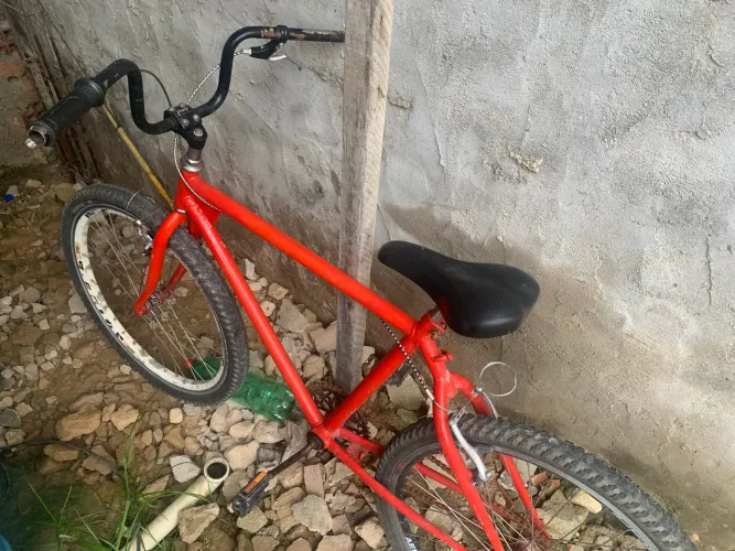 Bicicleta 