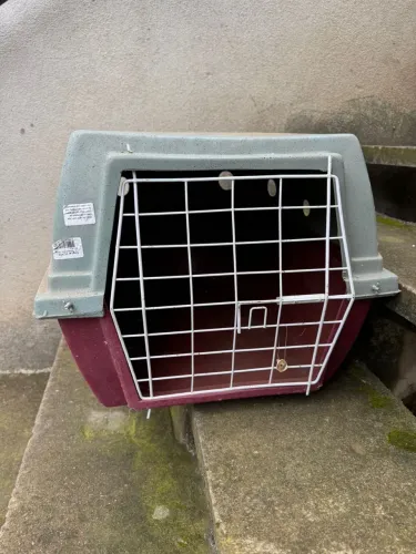 Caixa de transporte para cão de pequeno porte