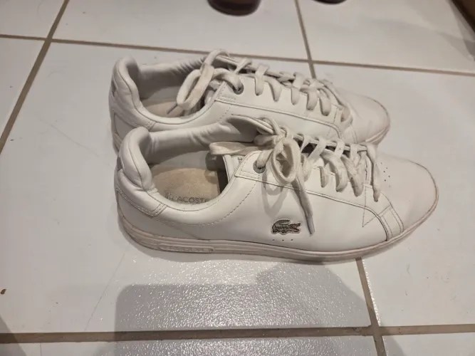 Tênis lacoste original
