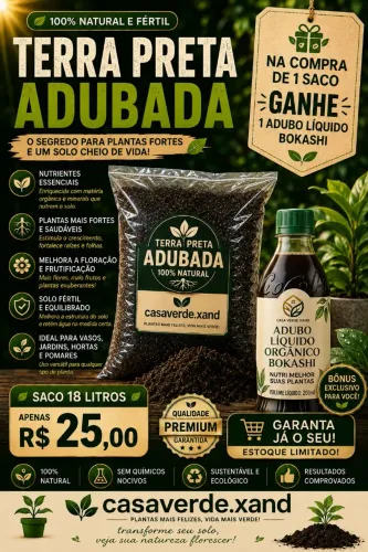 Terra preta adubada + bokashi.