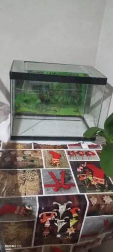 Aquário 25 litros 