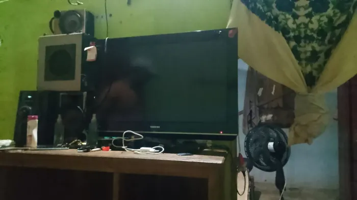 Televisão