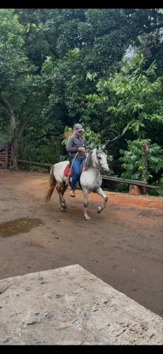 Cavalo manga larga