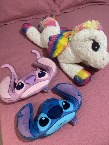 Ursos novos