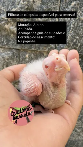 Para reserva