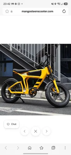 Bike Eletrica Ft03 Manggoster 1000 wts