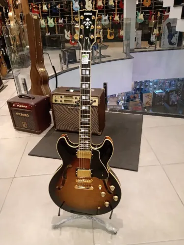 Guitarra semi acústica 