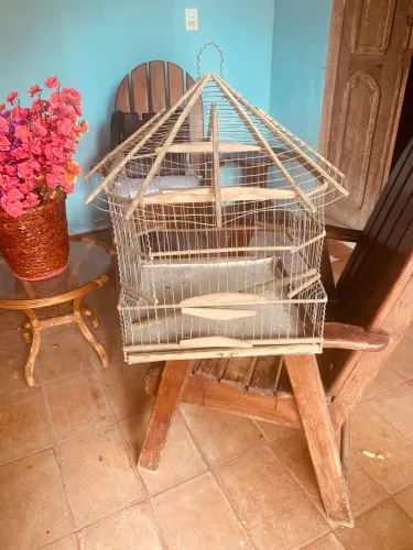 Gaiola bonita