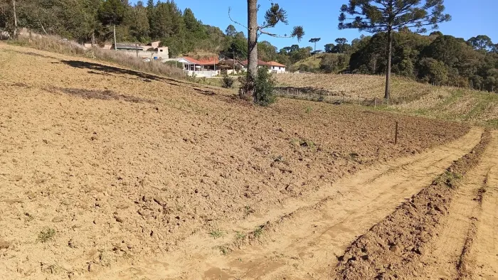 VENDO LINDO TERRENO/ Bateias,Campo Largo.