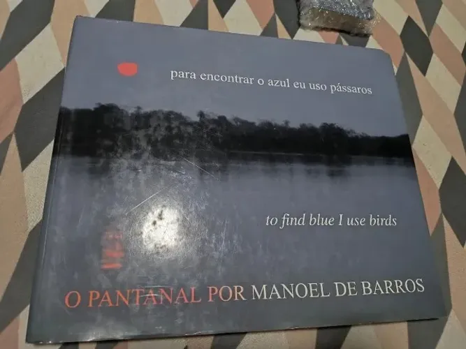o pantanal por manoel de barros