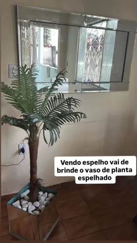 vende-se espelho e de brinde vai um vaso de planta espelhado