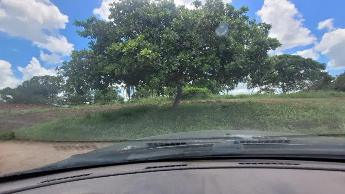 ? Vendo 3 Lotes 10x20 em Carpina - Excelente Investimento e Valorização!