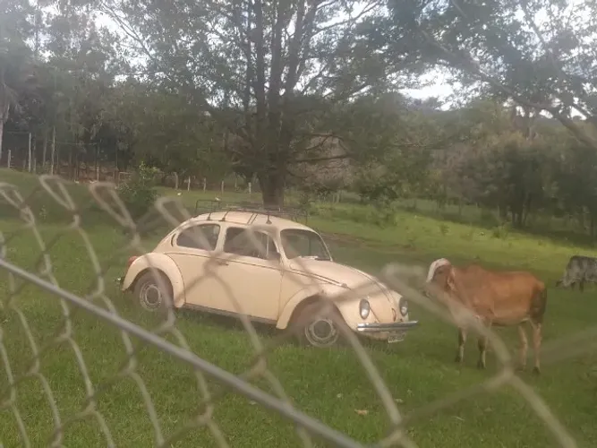 Volkswagen Fusca 1300 1979