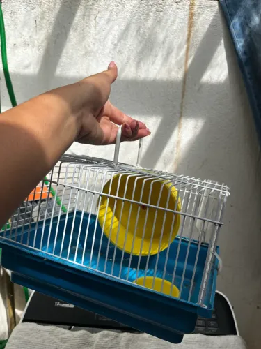 Casa pra hamster