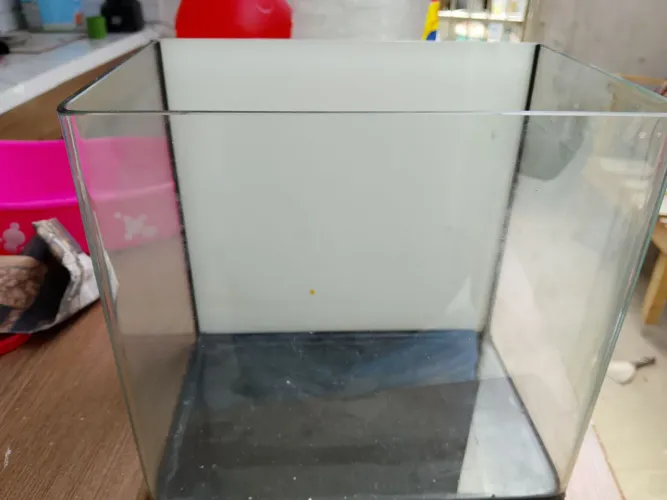 aquário 7 litros