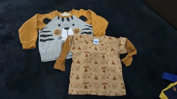 Lote de roupas