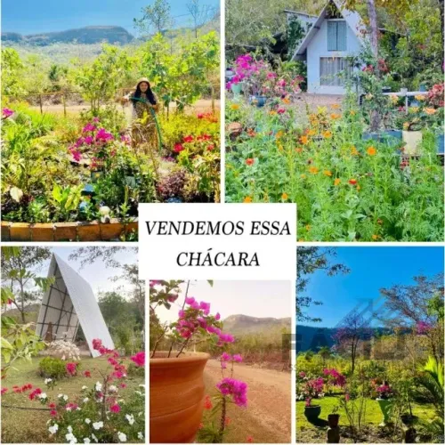 Chácara c/ Córrego + Mina Natural | Casa + Chalés | 20km de Palmas | Oportunidade