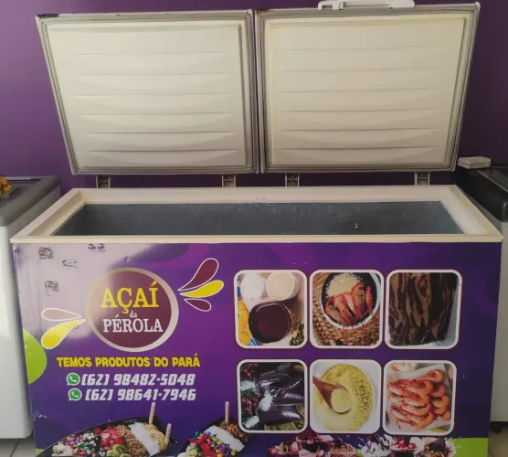 FREEZER 500 L ESTÁ FUNCIONANDO NA MINHA LOJA FALTANDO COLOCAR SÓ UM POUCO DE GAS CHAT