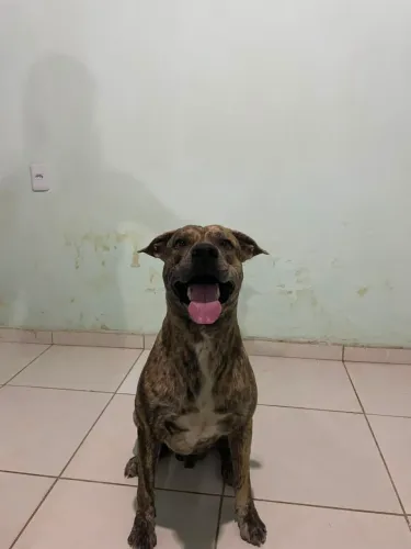 Doação 