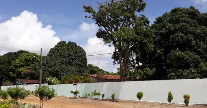 Vendo Área com 3.676m² - Mata Redonda