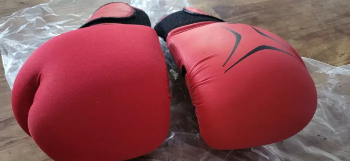 Luis de Box seminova tamanho médio e pequeno 