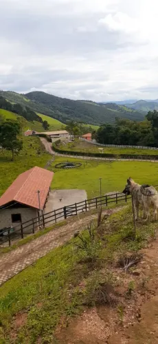 Espetacular Sitio 24200m² Delfim Moreira <br>Alto Da Serra Da Mantiqueira <br>Delfim Moreira M/G