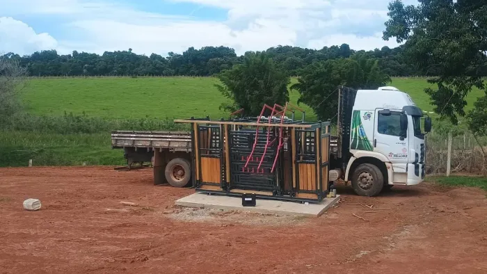 Troncos de contenção bovino C/ balança (BRETE)