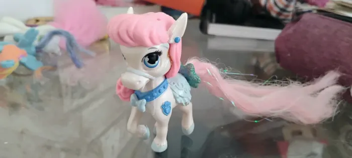 Poney Palace pets
