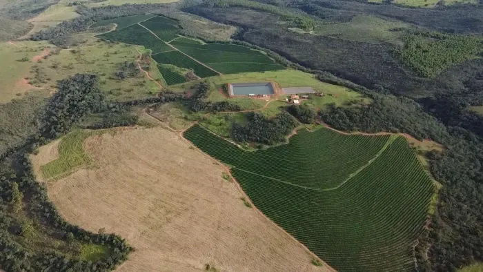 Fazenda com Café Irrigado à Venda 1.674 ha Presidente Olegário- MG