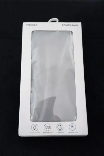 Power Bank 10000mAh 22w