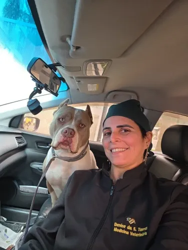 Pit Bull Monster criação responsável 