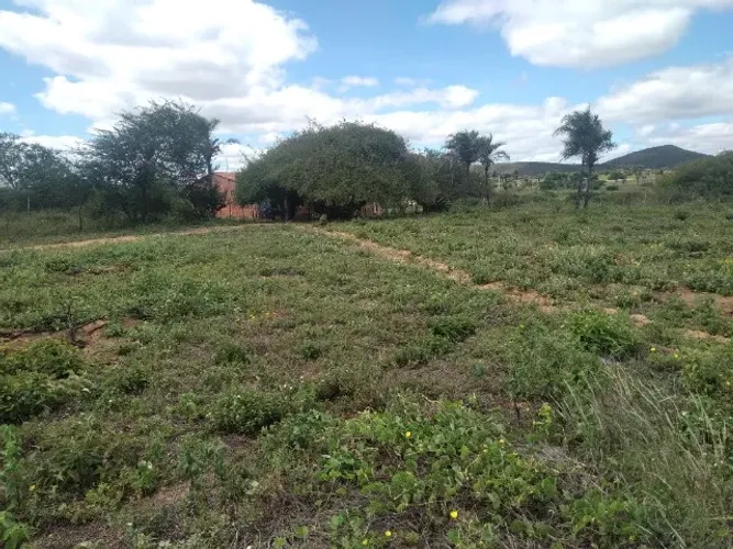 LOTE DE 1 TAREFA (4.356M²)