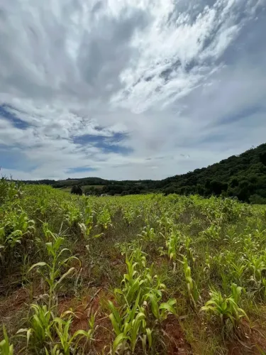 O Terreno Perfeito para Sua Nova História