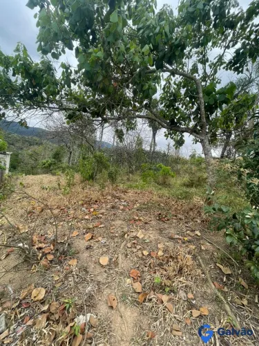 Terreno à venda no Jardim das Canárias no Bairro Ponunduva em Pirapora do Bom Jesus - SP