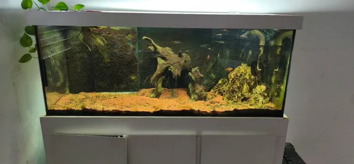 Aquário 240L + Sump(aquario de filtragem) + móvel de apoio