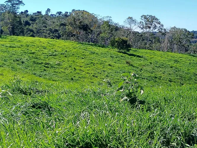 Fazenda à Venda - Santa Luzia BA