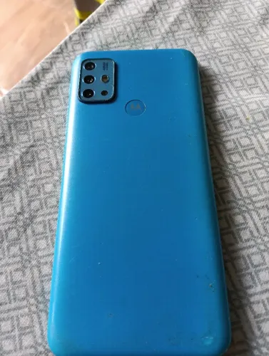 Celular barbada