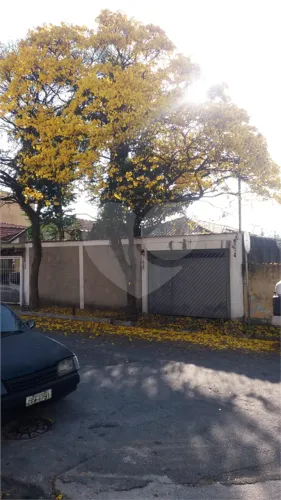 Terreno à venda em Vila palmeiras - SP