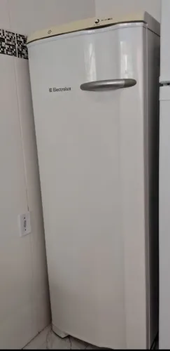 Freezer vertical