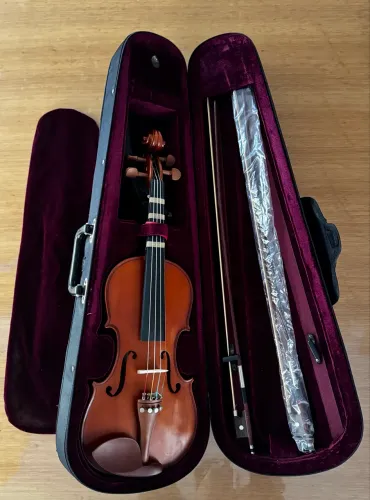 Violino Michael com case e acessórios