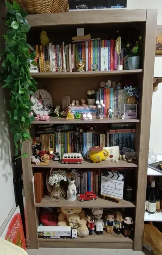 Estante de Livros