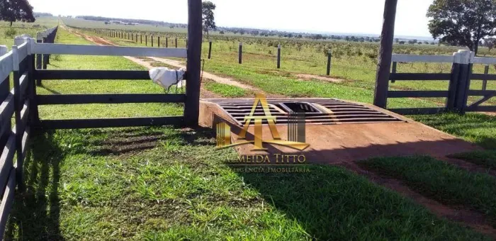Fazenda à Venda - Zona Rural - Região de Campo Grande/MS