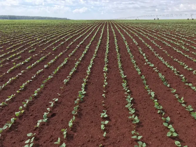 Fazenda a venda