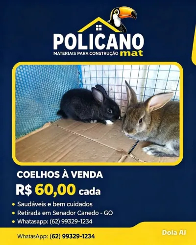 Coelho filhote