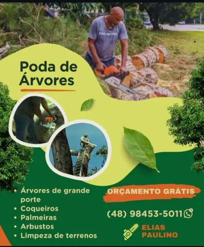 PODAS E CORTES DE ÁRVORES
