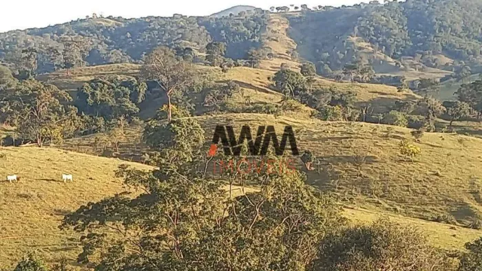Fazenda à venda, 1694000 m² por R$ 6.650.000,00 - Centro - Carmo do Rio Verde/GO