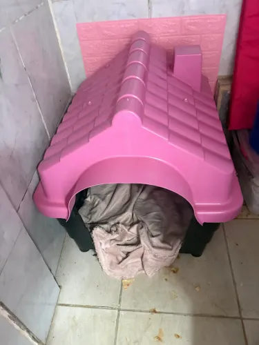 Casinha número 8